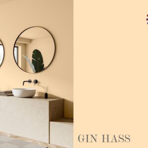 Vådrumsmaling: Gin Hass 2,7 liter